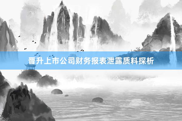 晋升上市公司财务报表泄露质料探析