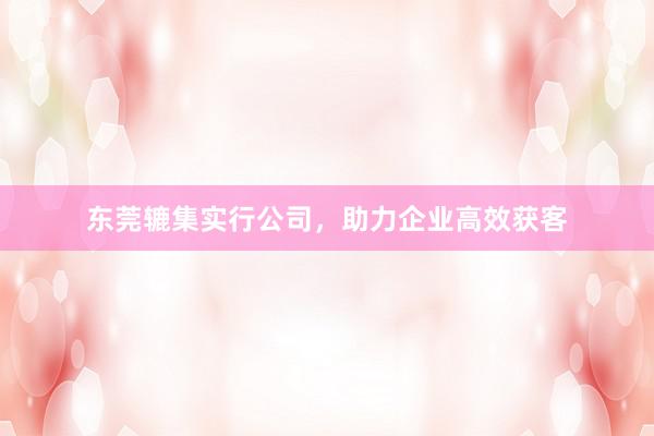 东莞辘集实行公司，助力企业高效获客